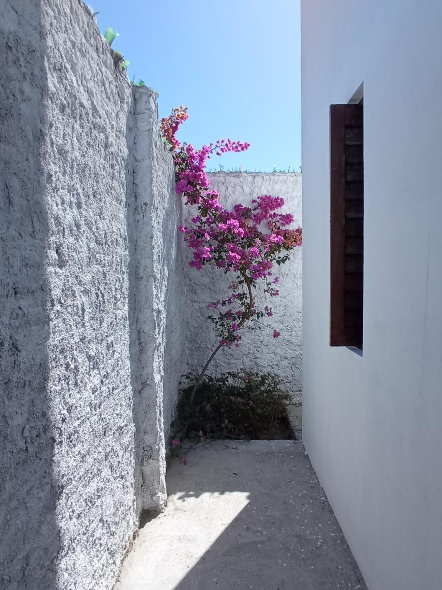 הוילה Casa Inti De Maracajaú מראה חיצוני תמונה